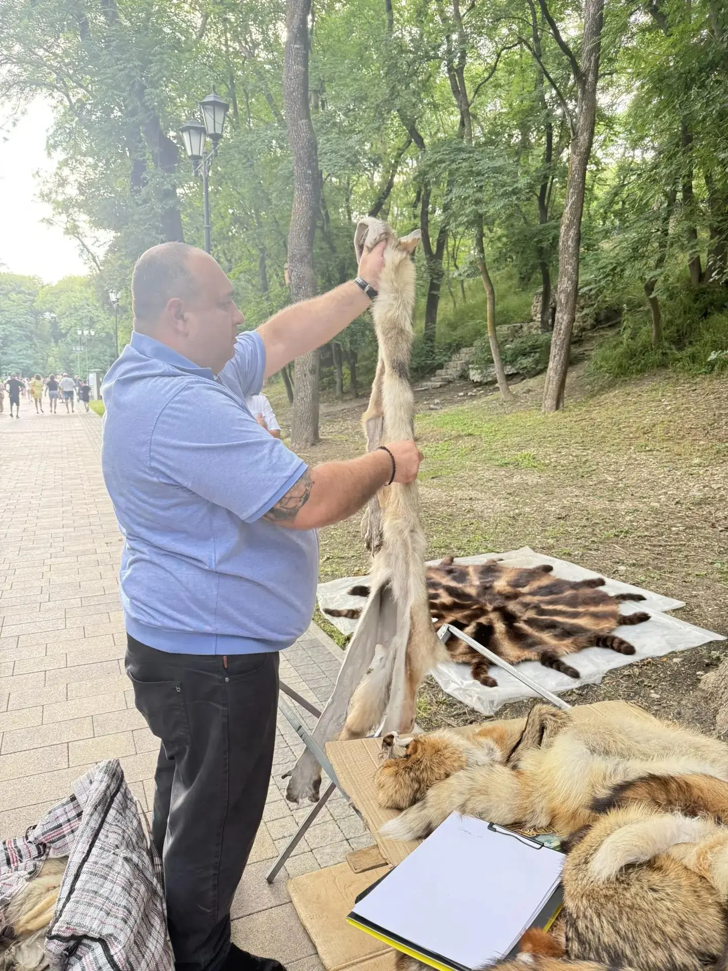 Песец (розовый!), волки и еноты – кого больше не встретить в Курортном парке.

Вчера сотрудники упра