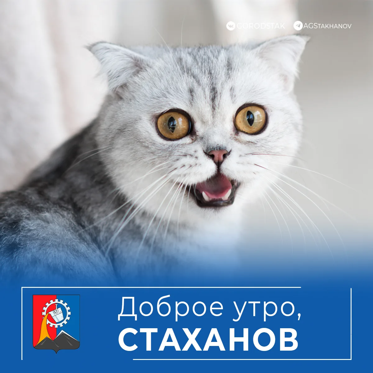 Доброе утро, родной город!

Что, уже понедельник? 😳

Три дня выходных пролетели как три часа - коро