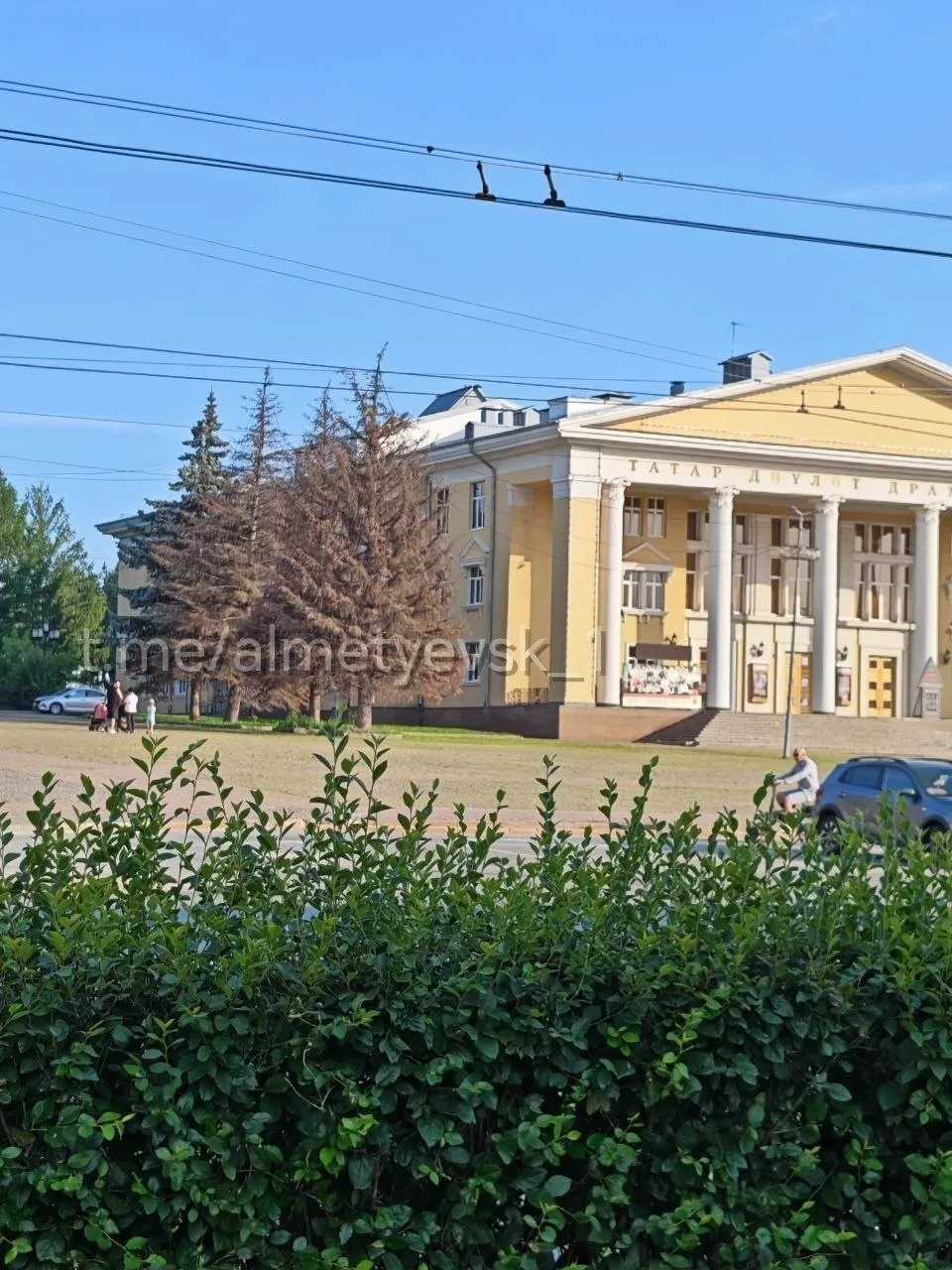 Погибли ели возле драмтеатра в Альметьевске