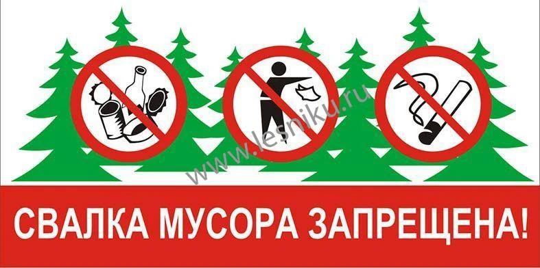 Лес — не свалка: почему вывоз мусора в лесной фонд обходится дороже, чем кажется