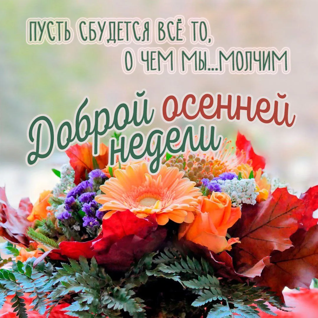 Отличной недели! 🤗