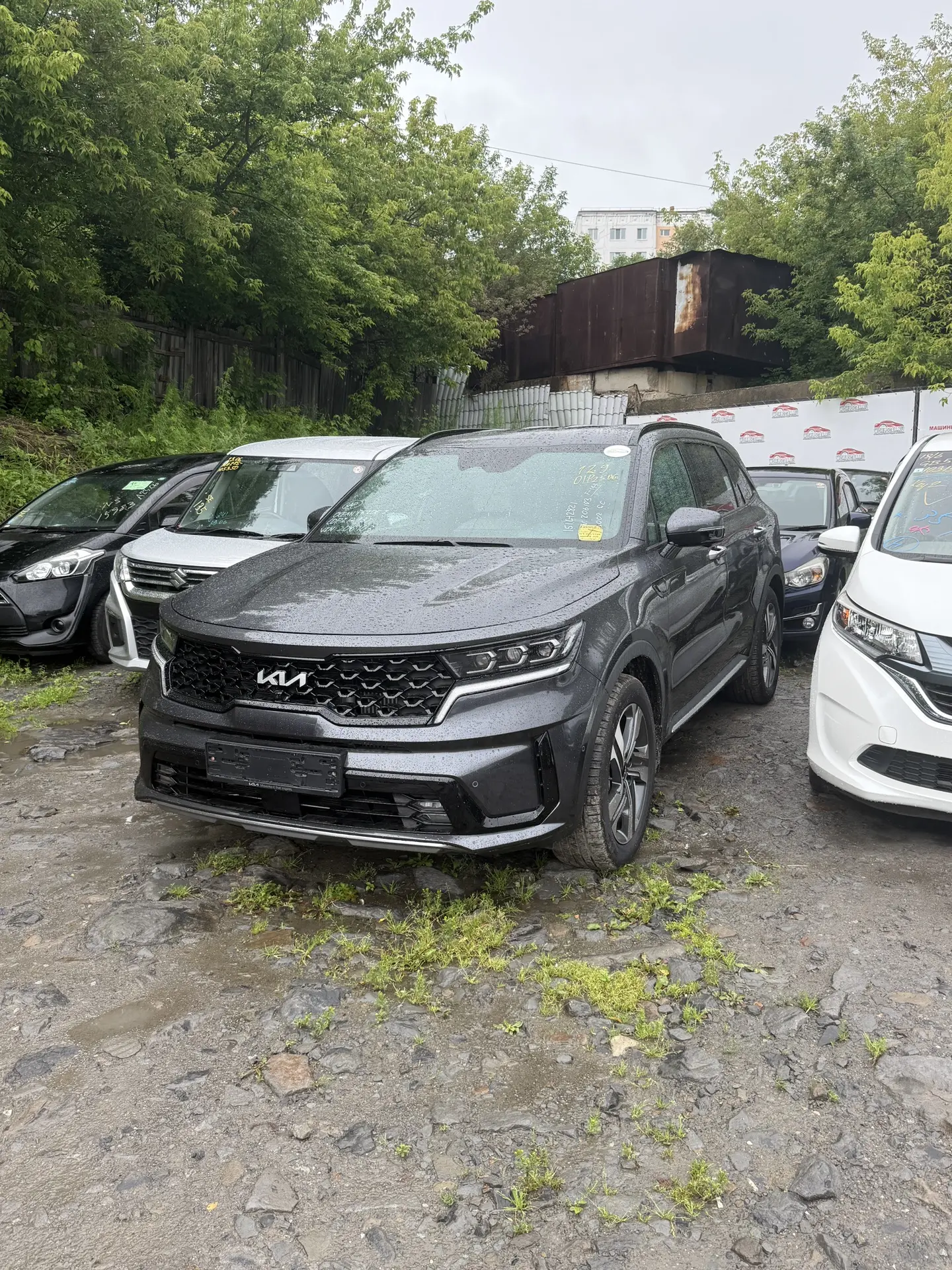 KIA SORENTO 🔥