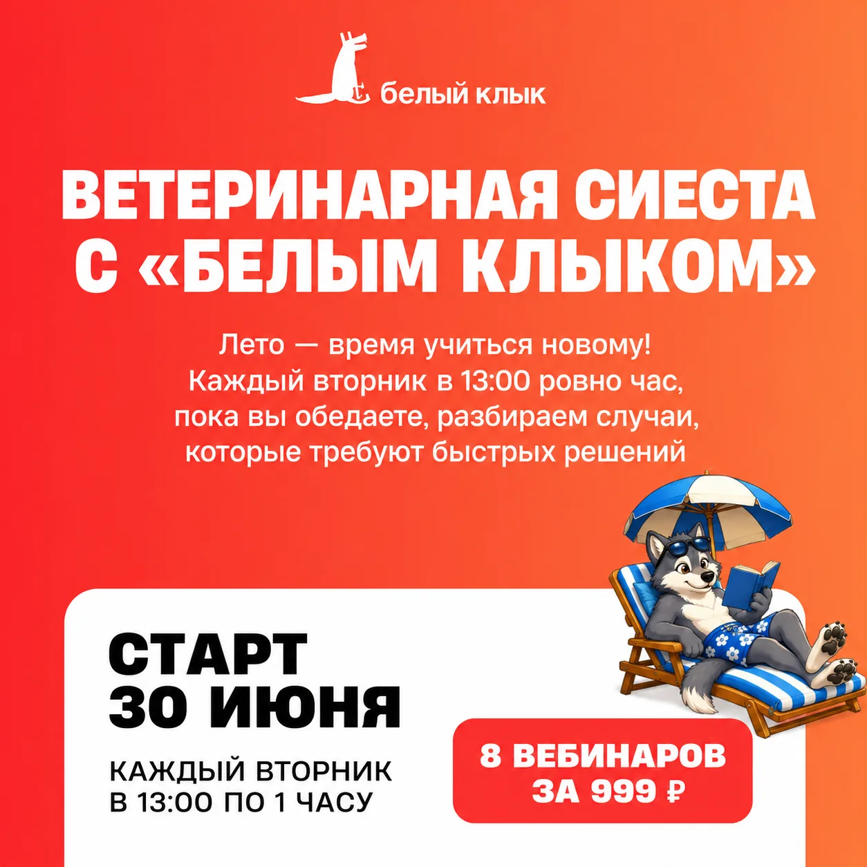🍉 «Ветеринарная сиеста» расширяется: новые темы и бонусы от экспертов «Белого Клыка»!