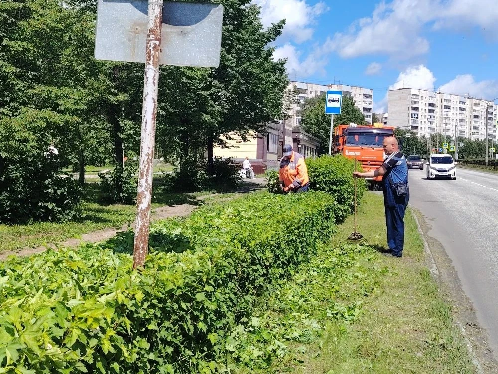 Продолжаются работы по кронированию кустарника, устранению молодой поросли деревьев и открытие треуг
