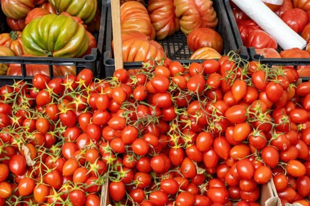 🍅 Импортным овощам могут назначить минимальную цену