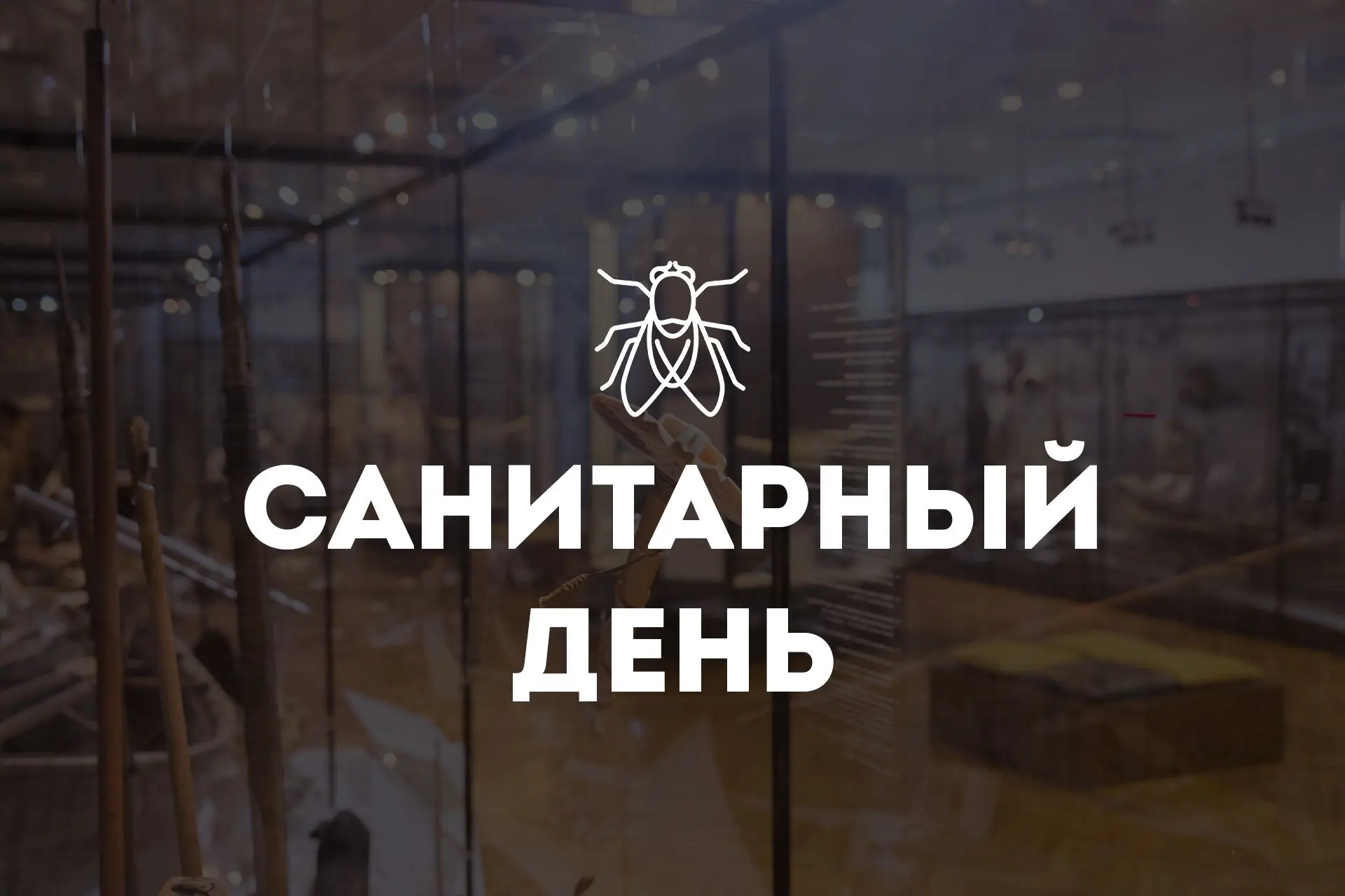 Внимание! Завтра, 29 мая, сандень. Экспозиции и выставки будут закрыты для посещений.