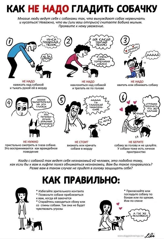 Скоро у школьников начнутся долгожданные каникулы. Большинство детей будут самостоятель...