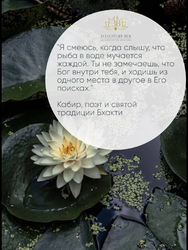 Жизнь в гармонии и благости  
Канал цикла «Золотой век» — «Жизнь в счастье» 😊🌿

💚ЗДОРОВЬЕ 360