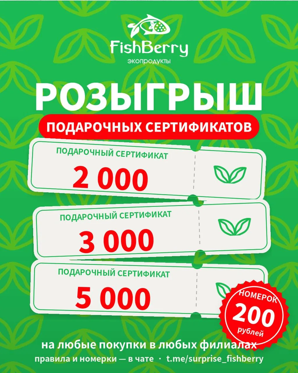 🎁 Разыгрываем сертификаты FishBerry на 2 000, 3 000 и 5 000 ₽! 💚
