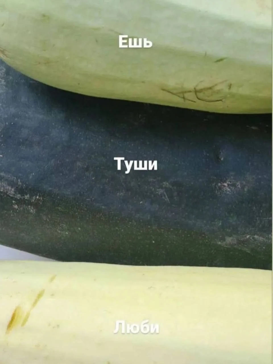 Подборка актуального😁
