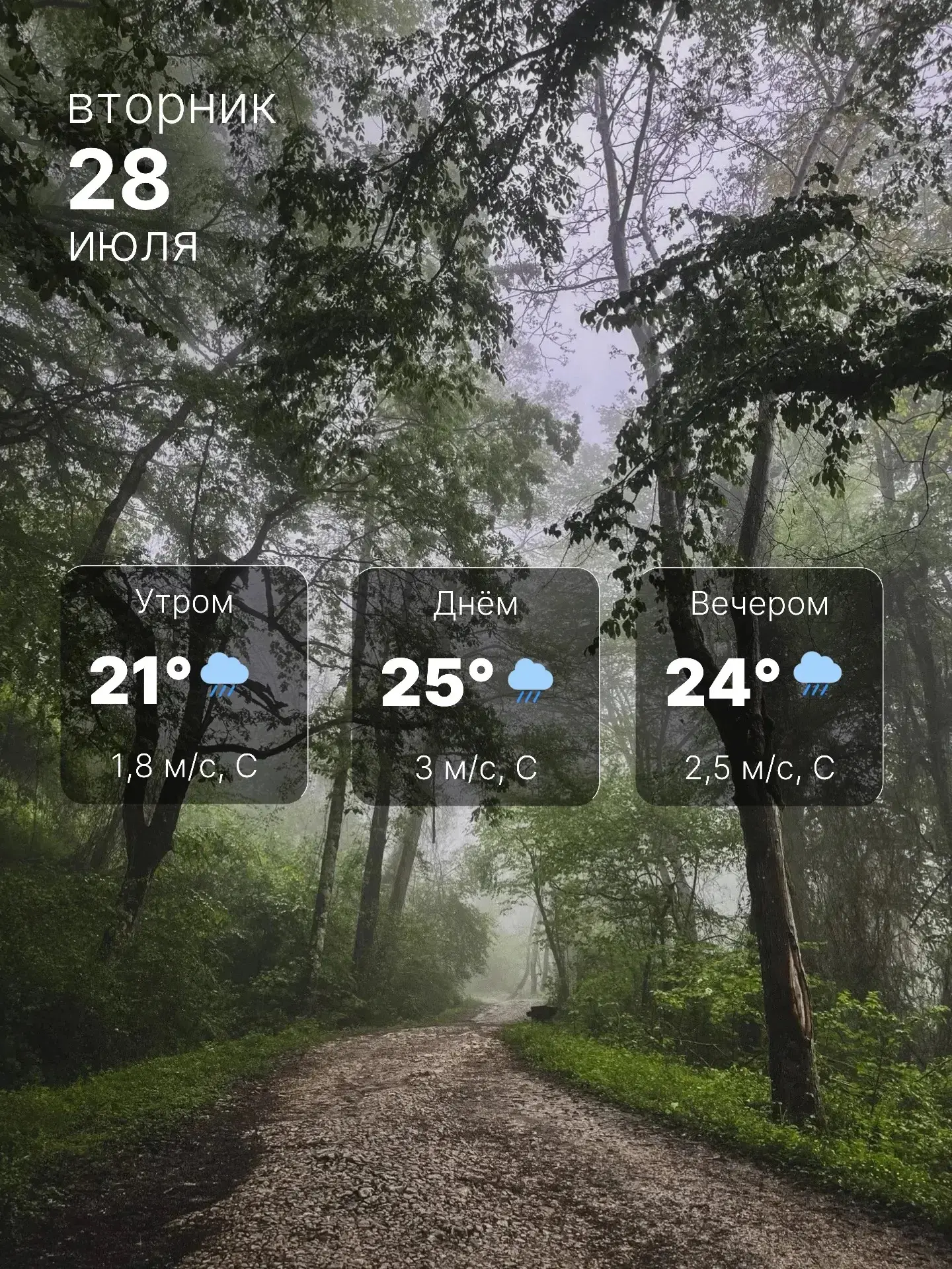 ☔️ Новосибирск, лови прогноз погоды на сегодня! 

Утро начнётся с +21°C,  днём воздух прогреется до 