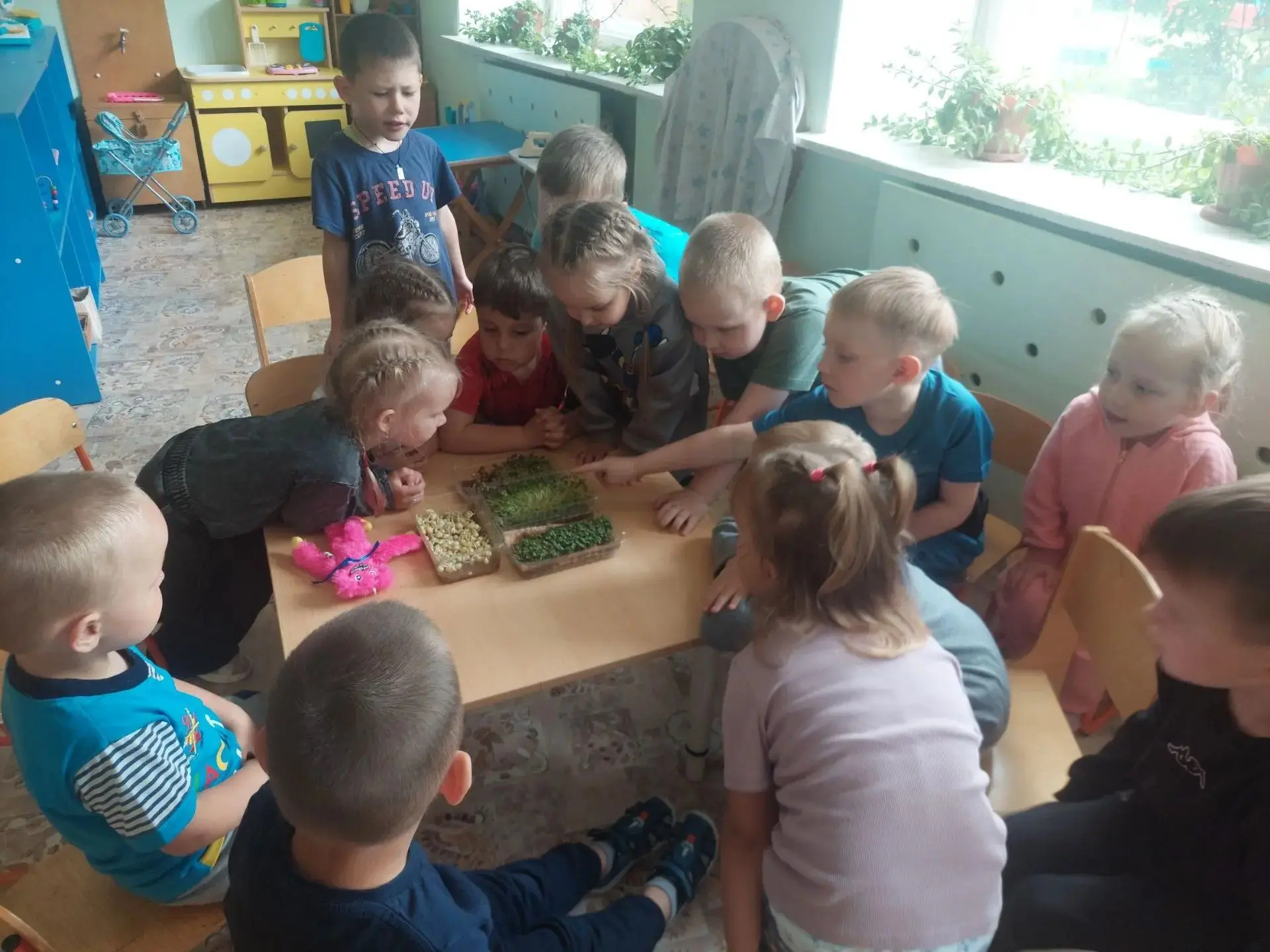 В понедельник ребята группы "Улыбка" провели очень интересный эксперимент — посадили микрозелень. Вс
