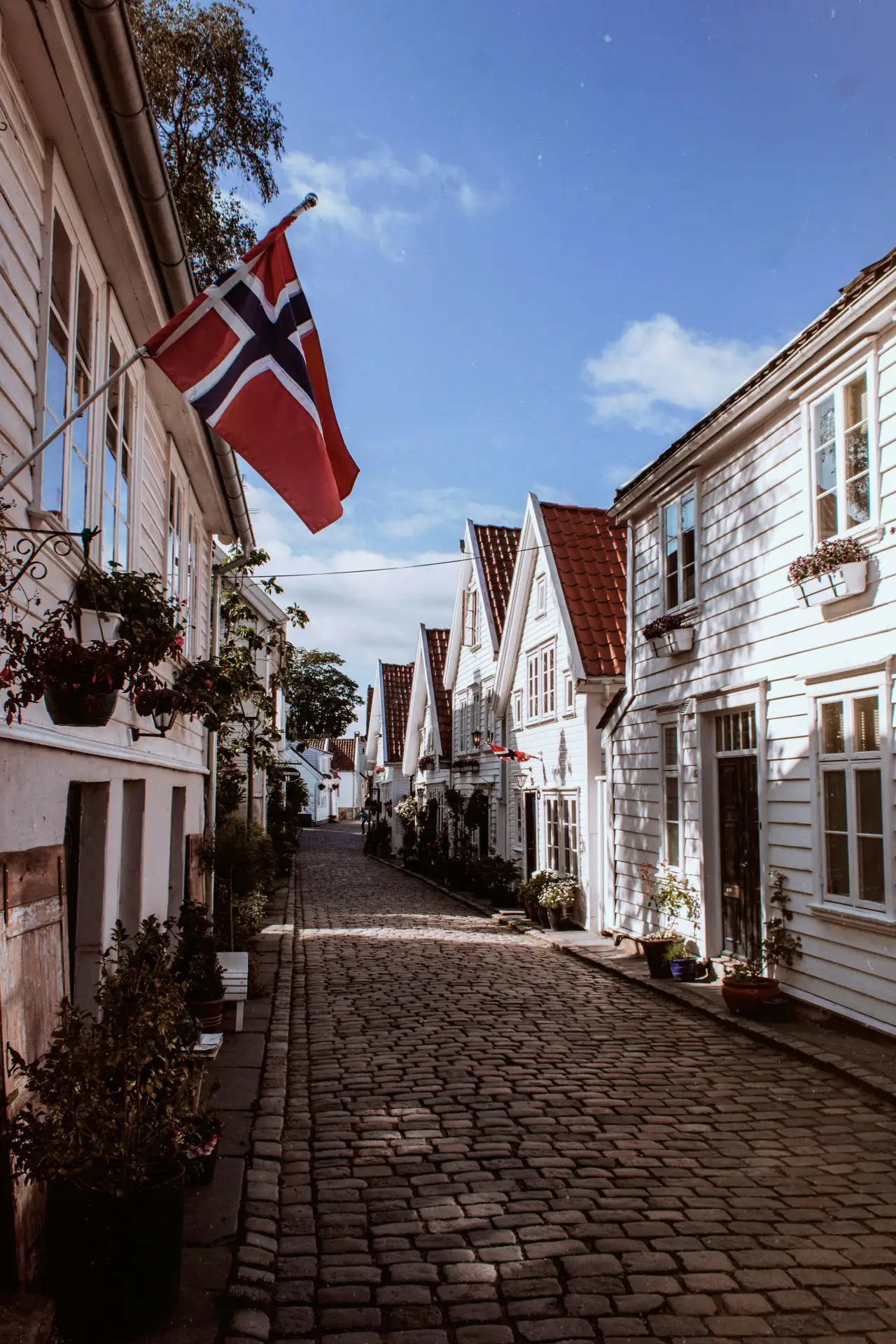 #Норвегия🇳🇴