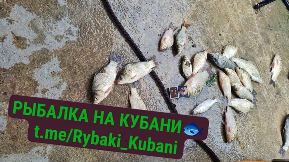 11.06