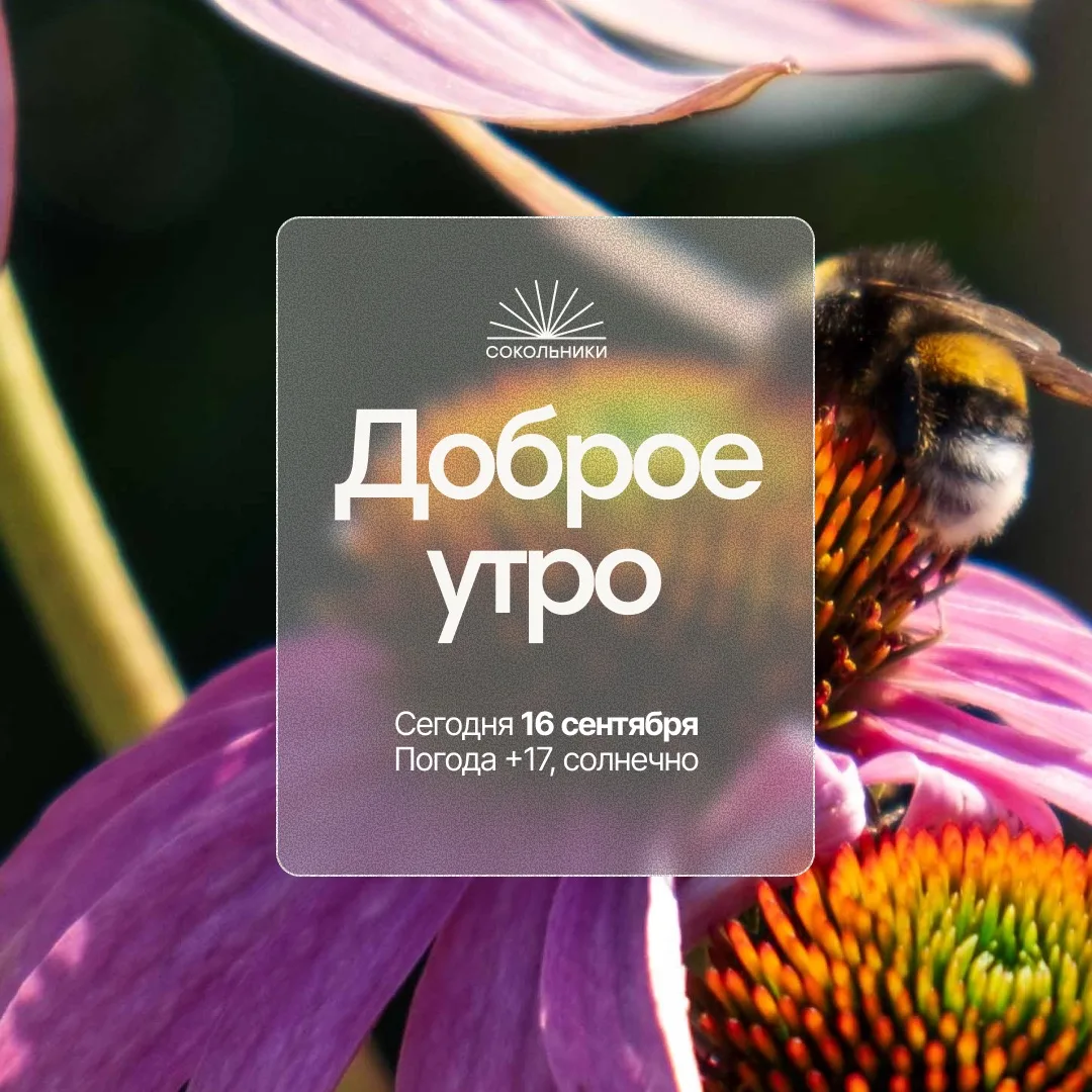 Доброе утро ☀️