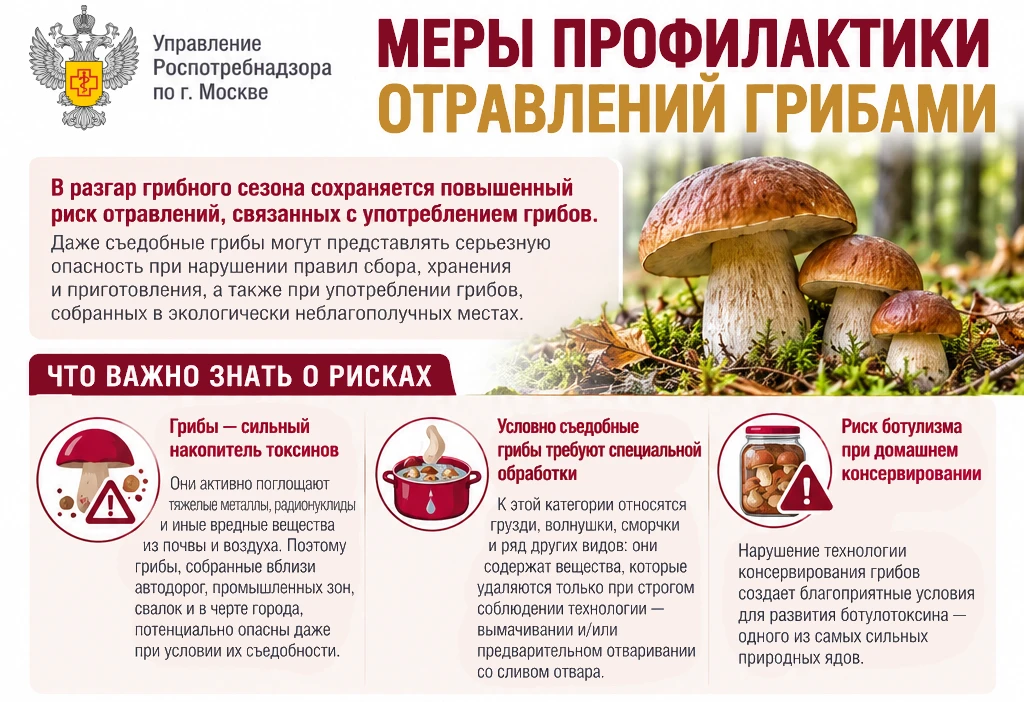 Меры профилактики отравлений грибами