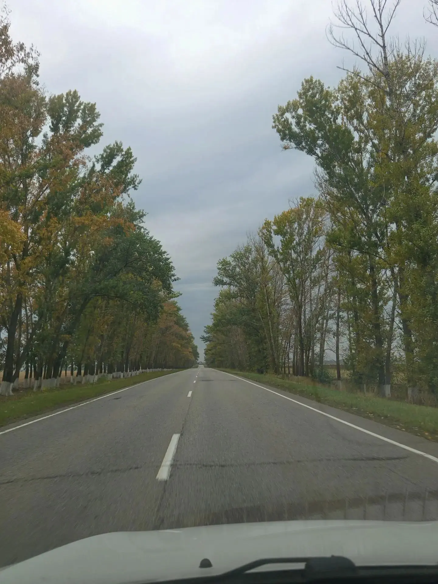 Осень от Елены И. 🍂