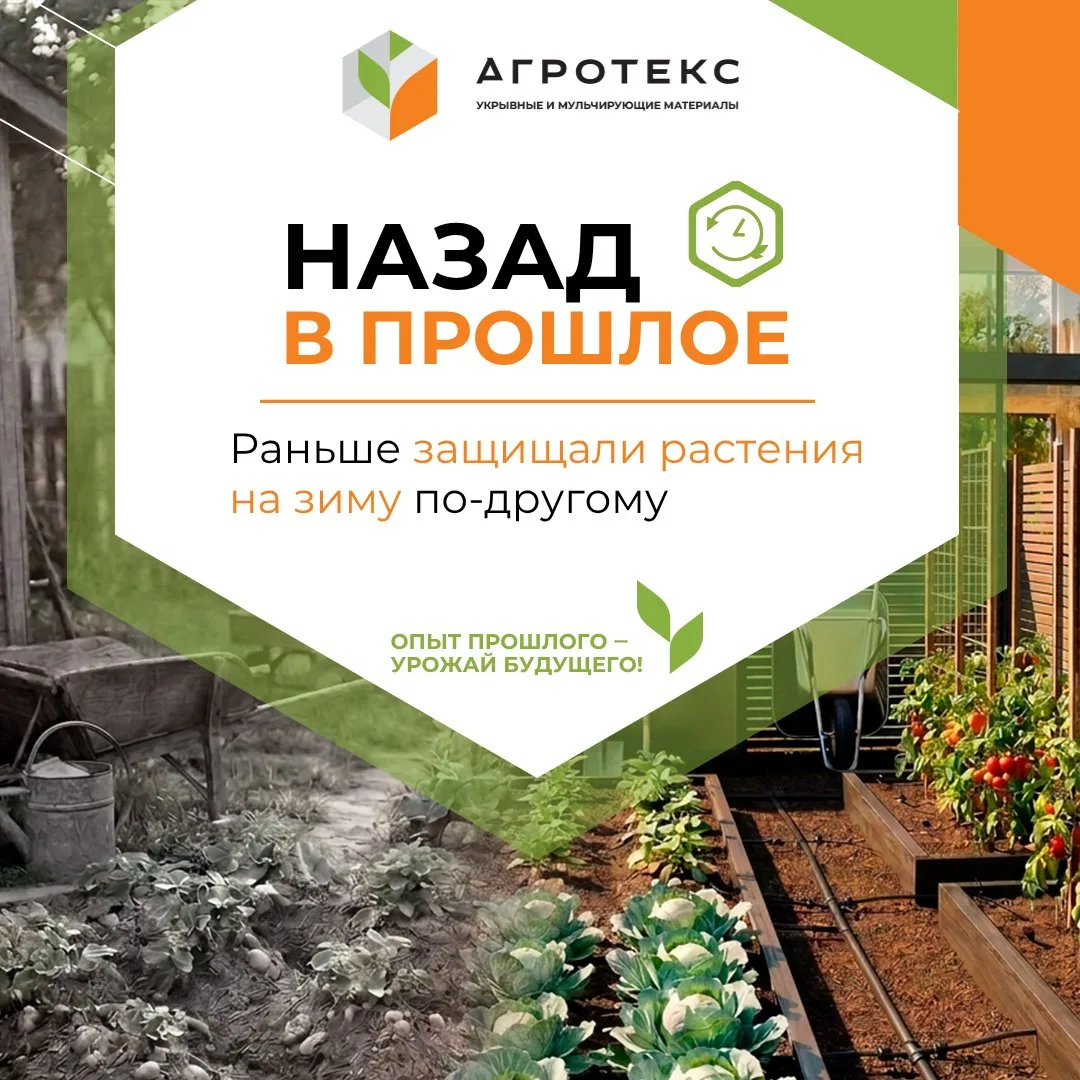 🕐 Раньше растения на зиму укрывали соломой, сухими листьями, еловым лапником. Использо...