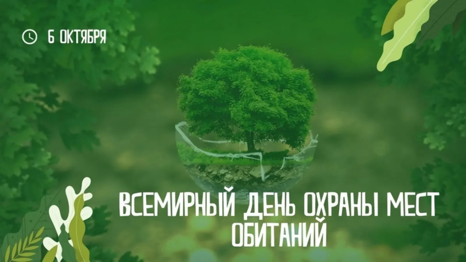 📆 6 октября 2026 года