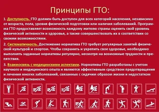 Принципы ГТО
1. Доступность. ГТО должен быть доступен для всех категорий населения, независимо от во