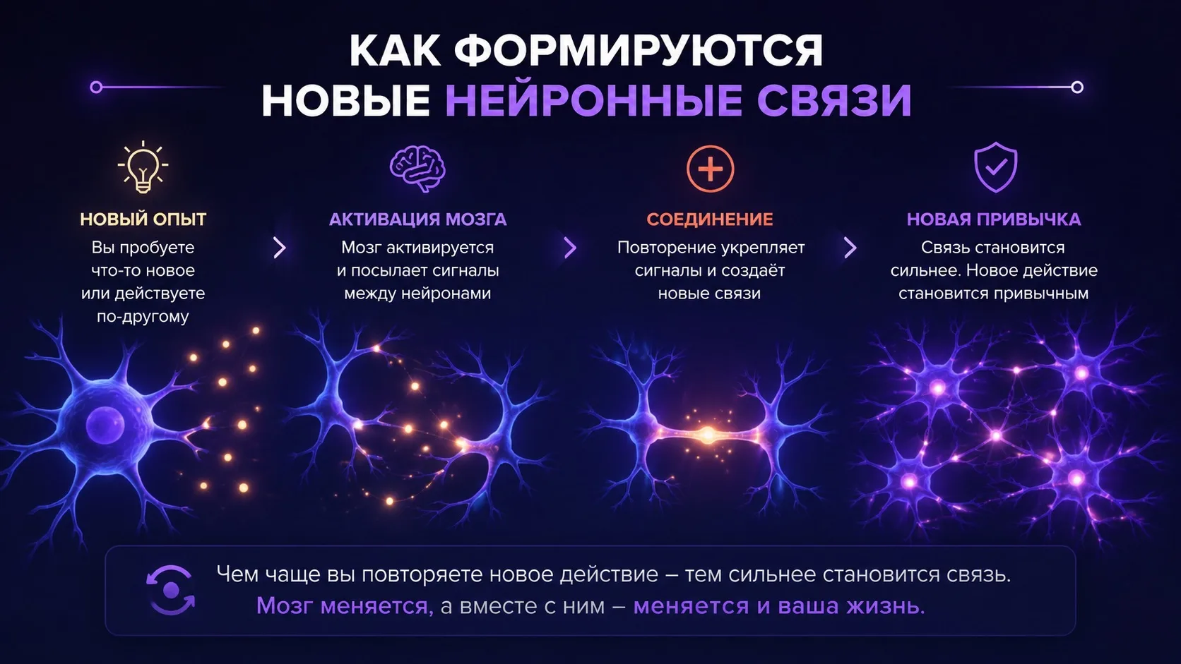 ВАШ МОЗГ ПРИВЫК ВЫЖИВАТЬ