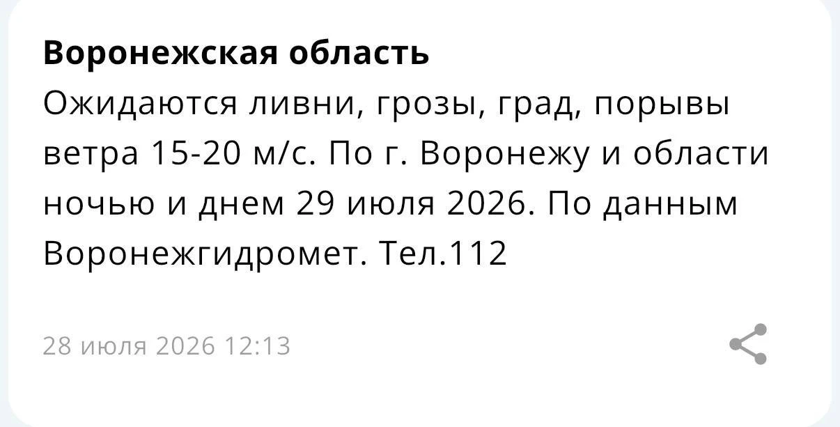 ⚡️ Завтра Воронеж ожидает ливень с грозой и градом

Скорость порывов ветра составит 15-20 м/с. Непог