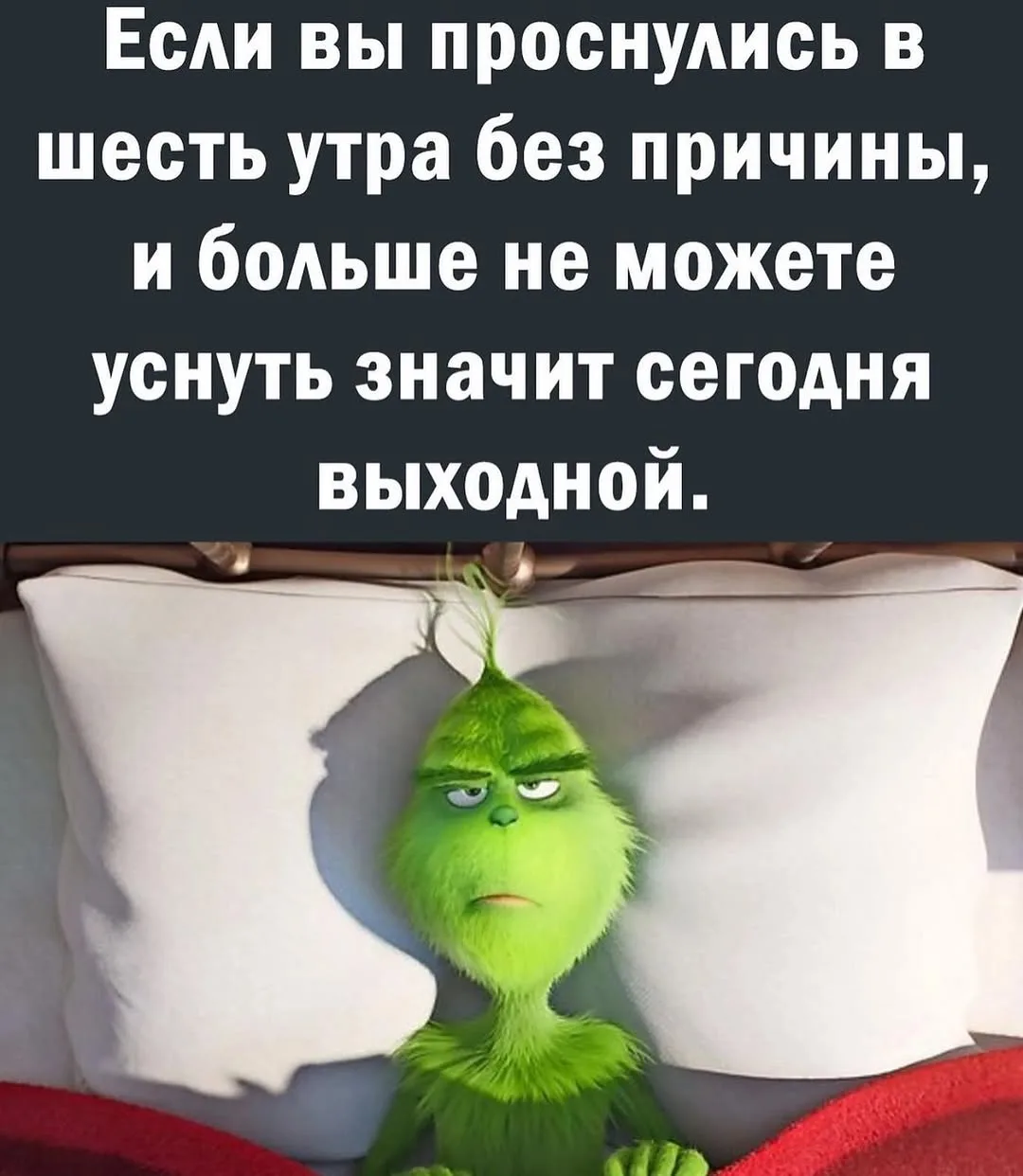Важный Гусь