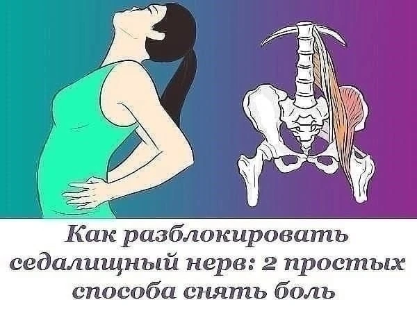 Упражнения при защемлении седалищного нерва.

Седалищный нерв свое начало берет в поясничном отделе 