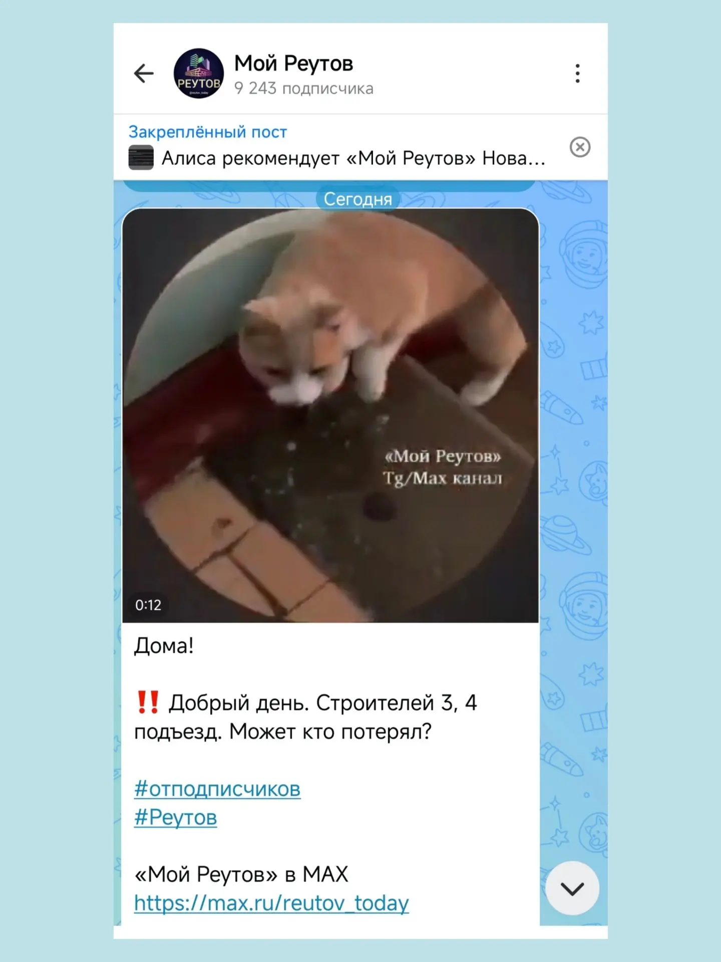 Буся дома! Её действительно искали. Всем спасибо ❤