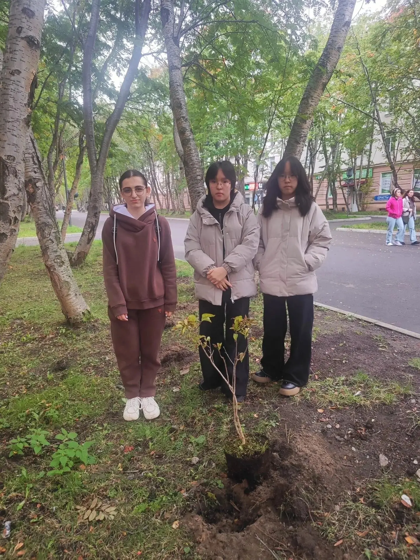 Наши волонтеры — в деле! 🌳