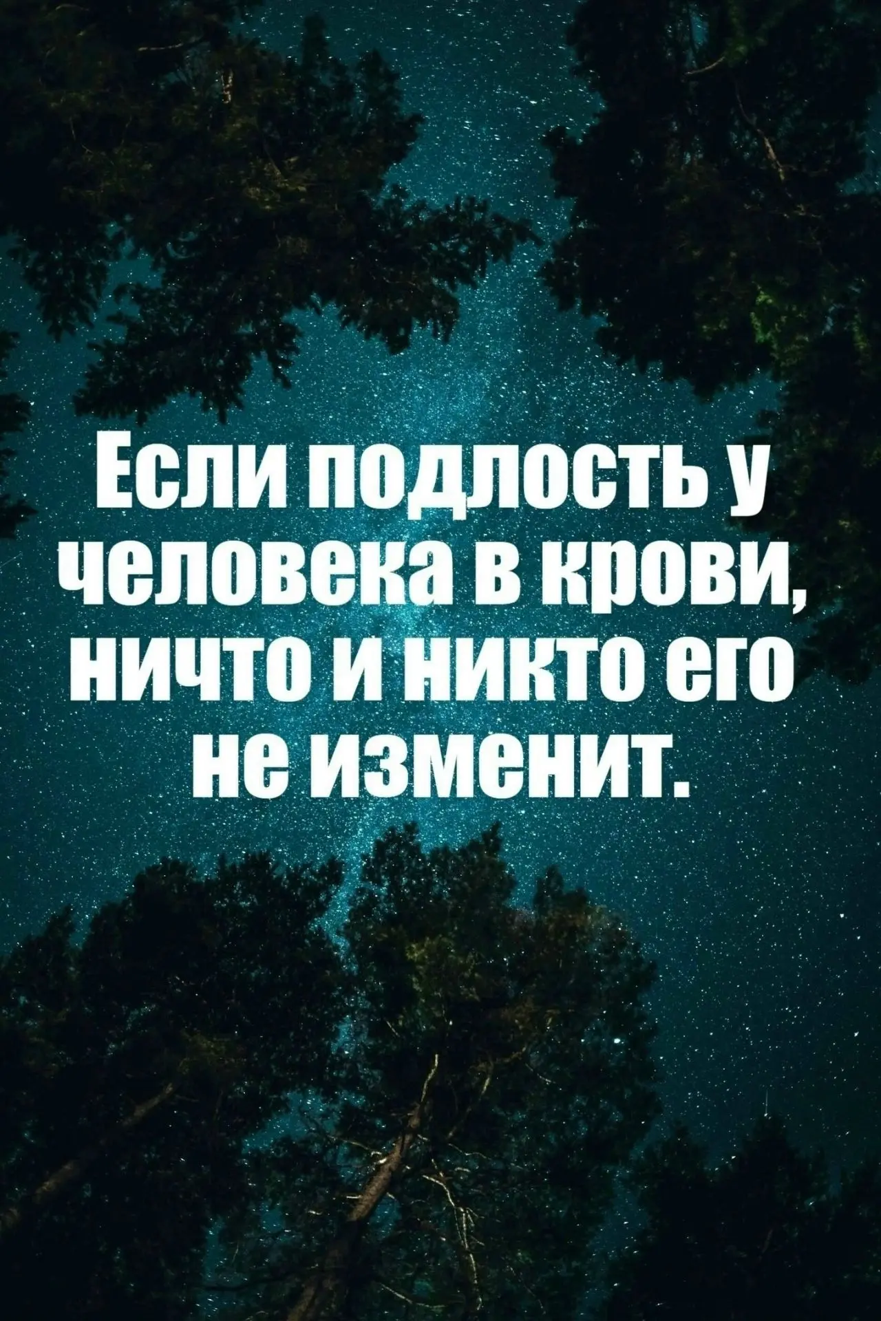 Цитаты 😉
