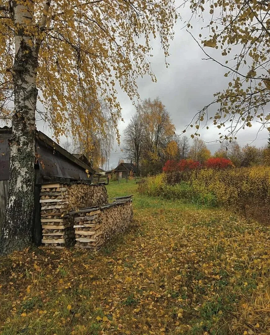 Падает лист на тропинку в саду,