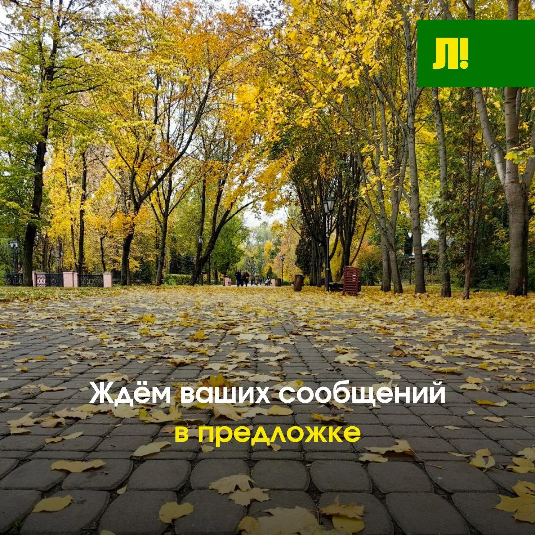 Присылайте нам свои жалобы, вопросы и красивые фотографии.