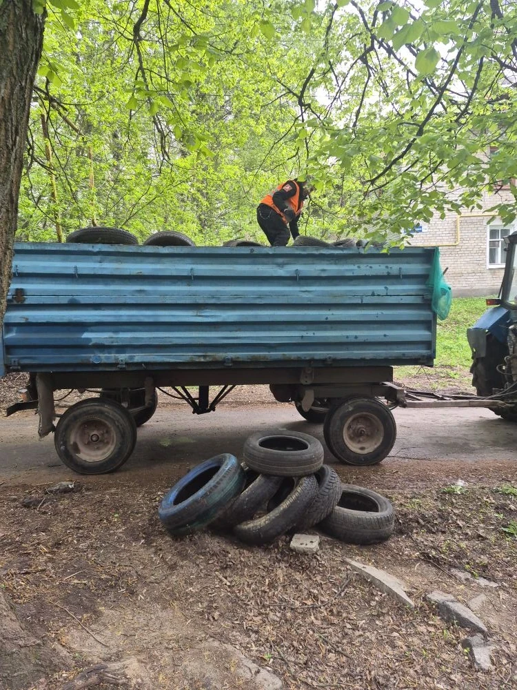 Домоуправляющая компания Советского района ежедневно следит за чистотой контейнерных площадок и регу