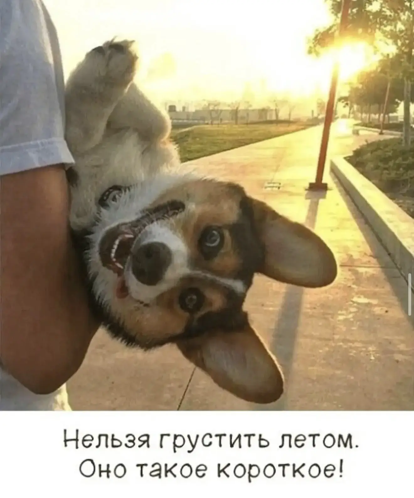 Девчата - Подписаться
