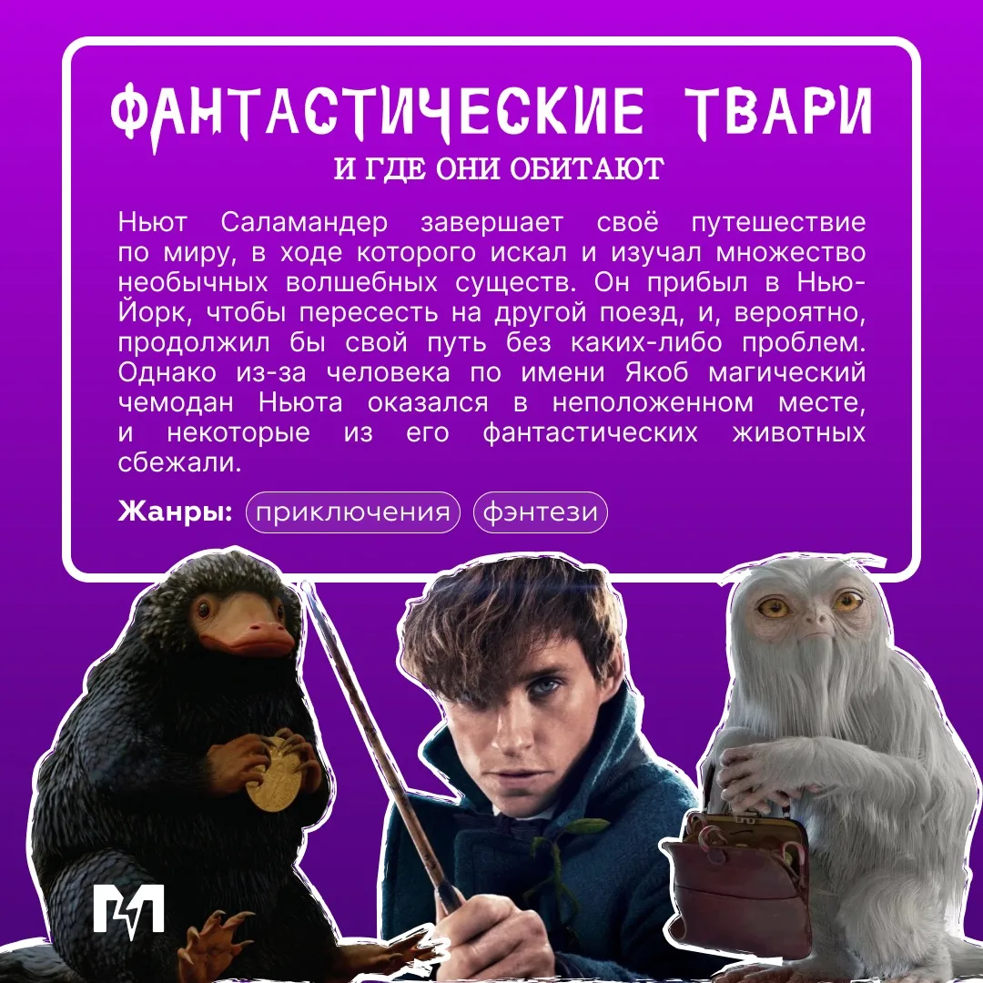 История, где магия оживает на каждом шагу ✨