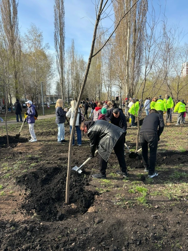 На набережной Стерли сегодня посадили вишнёвую аллею в честь 260-летия Стерлитамака.  Фото: горсовет