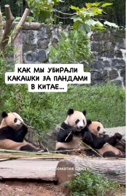 О том, как мы какашки убирали