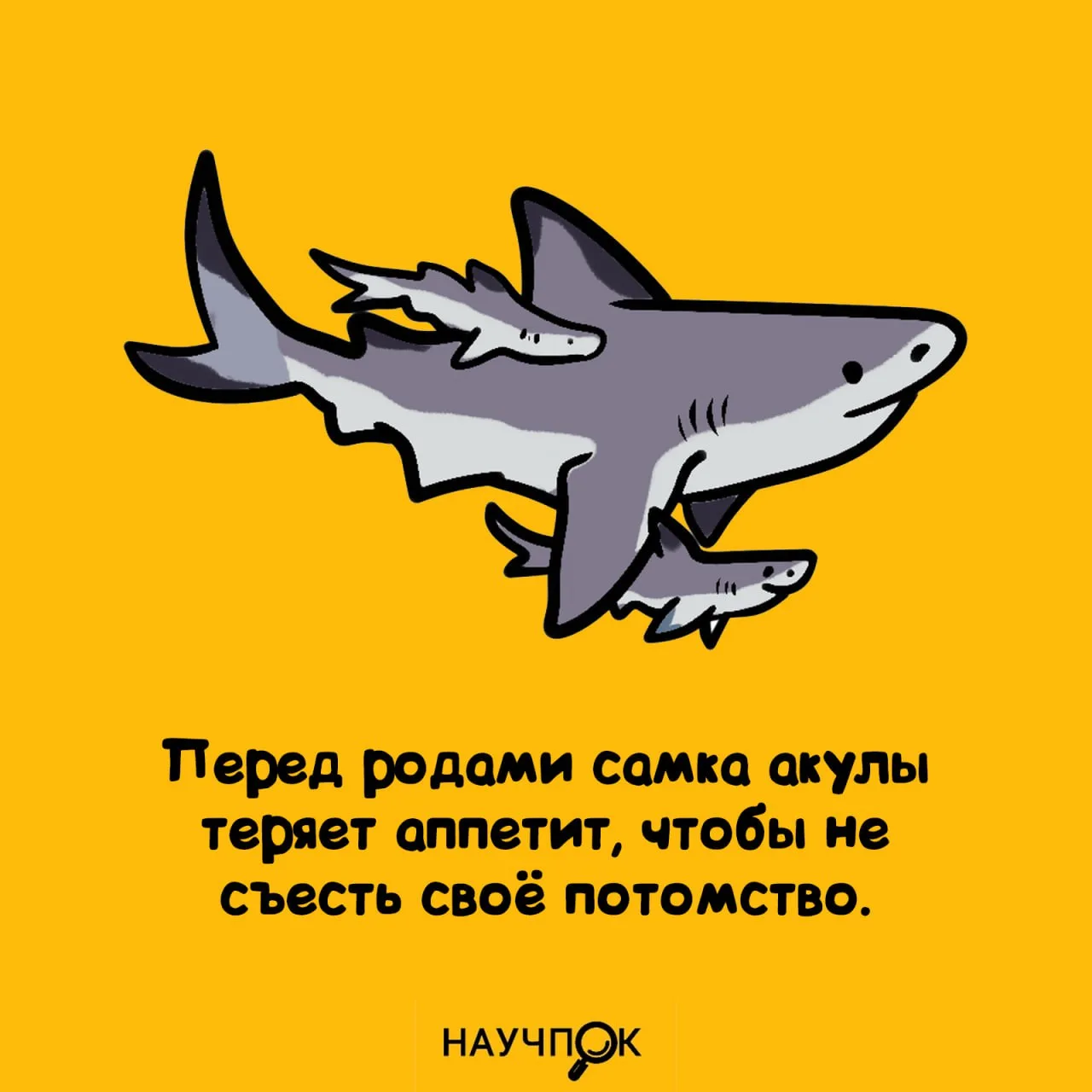 Научпок | Подписаться