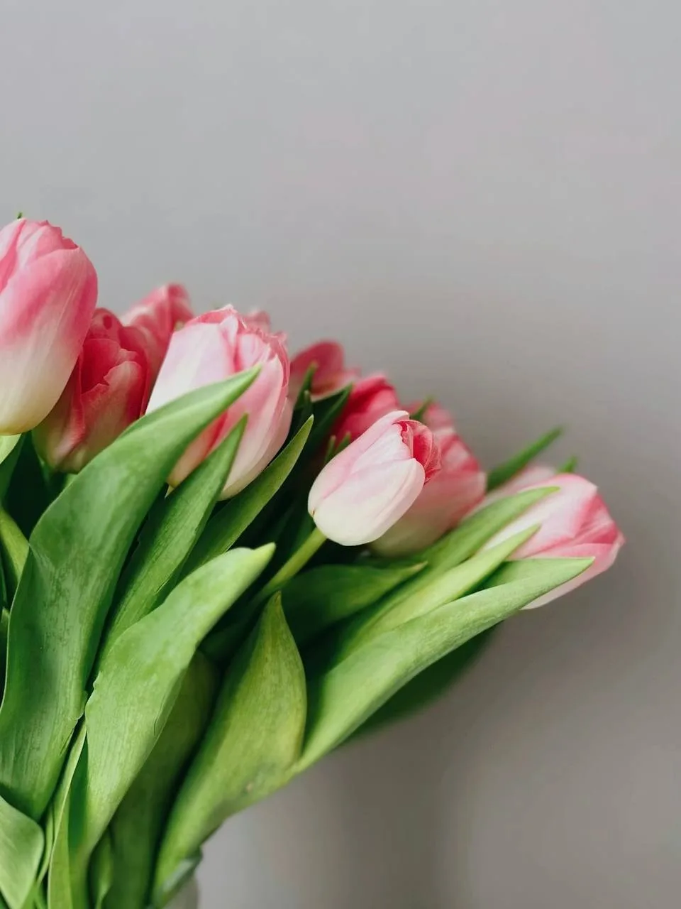 С 8 Марта, наши прекрасные девушки! 🌷✨