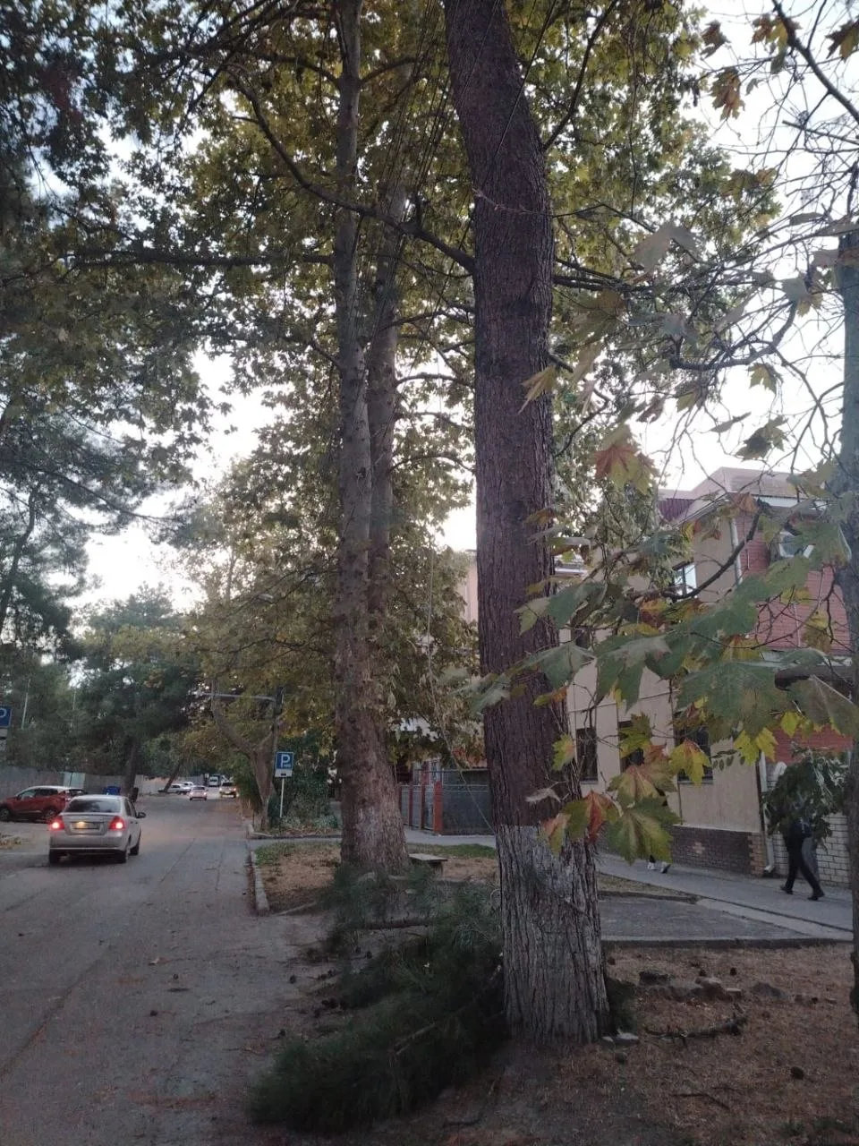 Нам пишут: