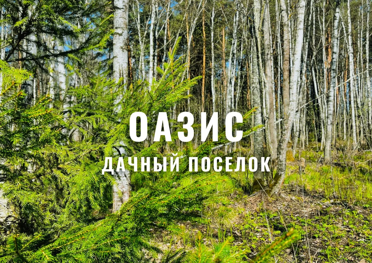 с 1 марта 2026 года возобновлены продажи в поселке Оазис.