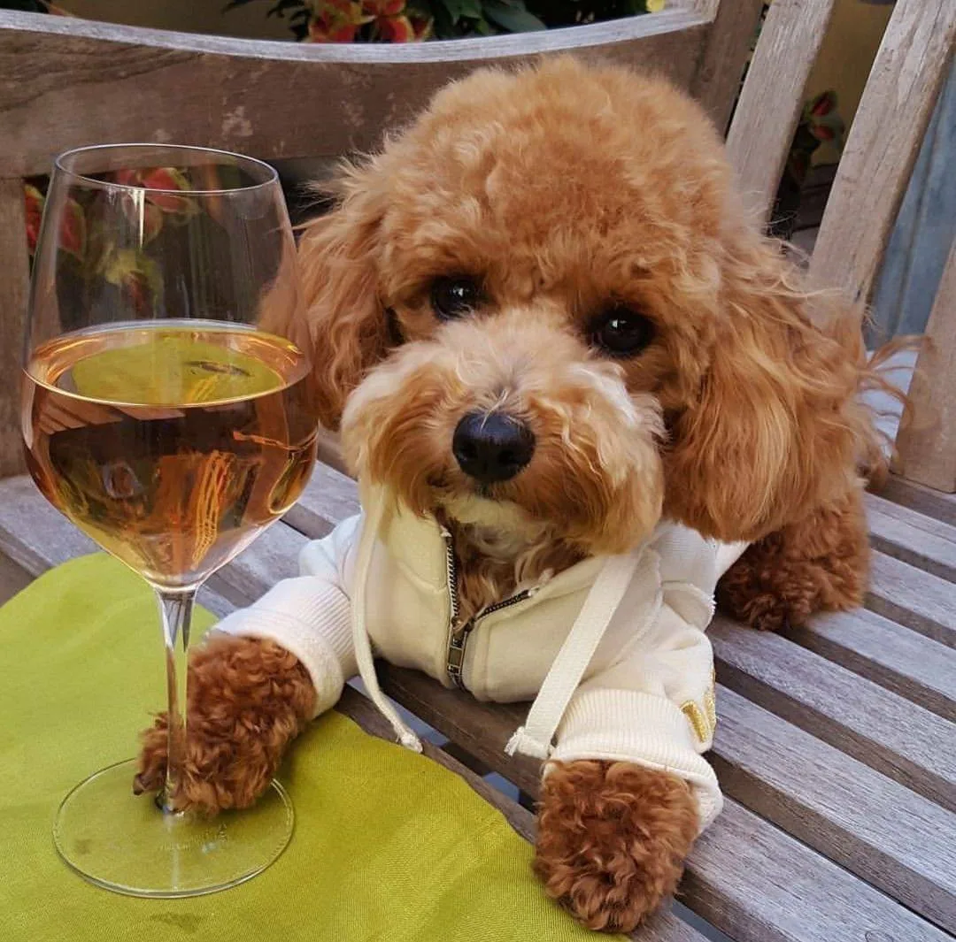 🍷 Август назван самым пьяным месяцем в году, — наркологи

В конце лета люди массово пытаются наверс