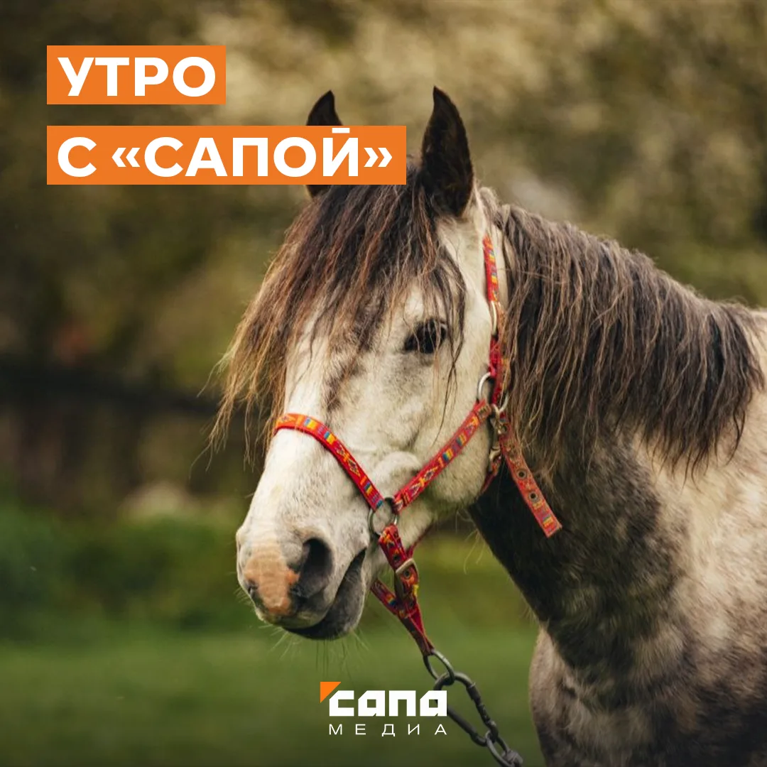 Информация, которая может тебе пригодиться:   🔸 На территории республики в ближайшие дни ожидается у
