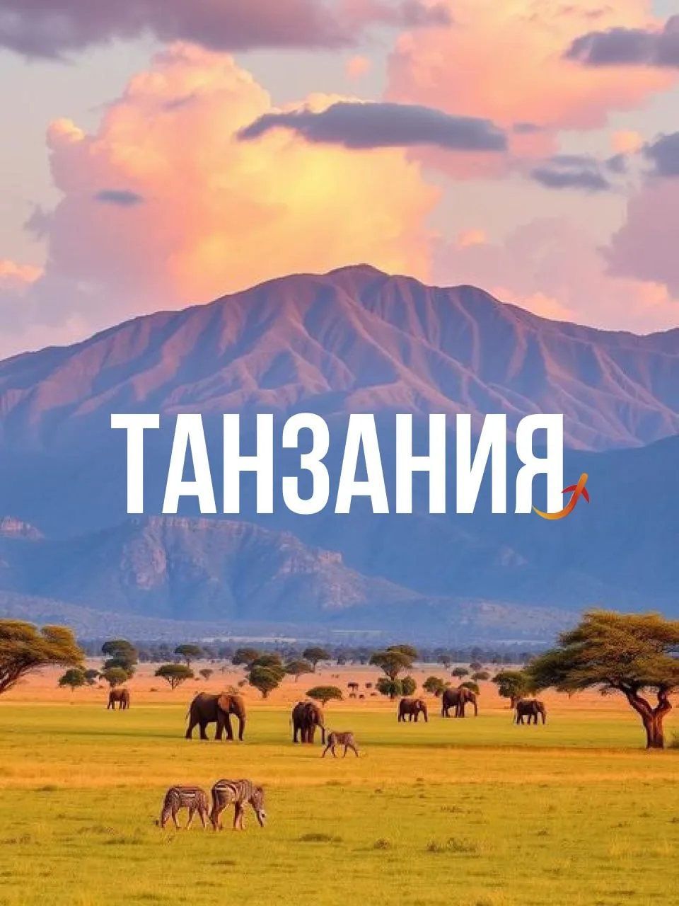 Летим на белоснежные пляжи Занзибара прямым рейсом!

Как и обещала, выкладываю подборку проверенных 