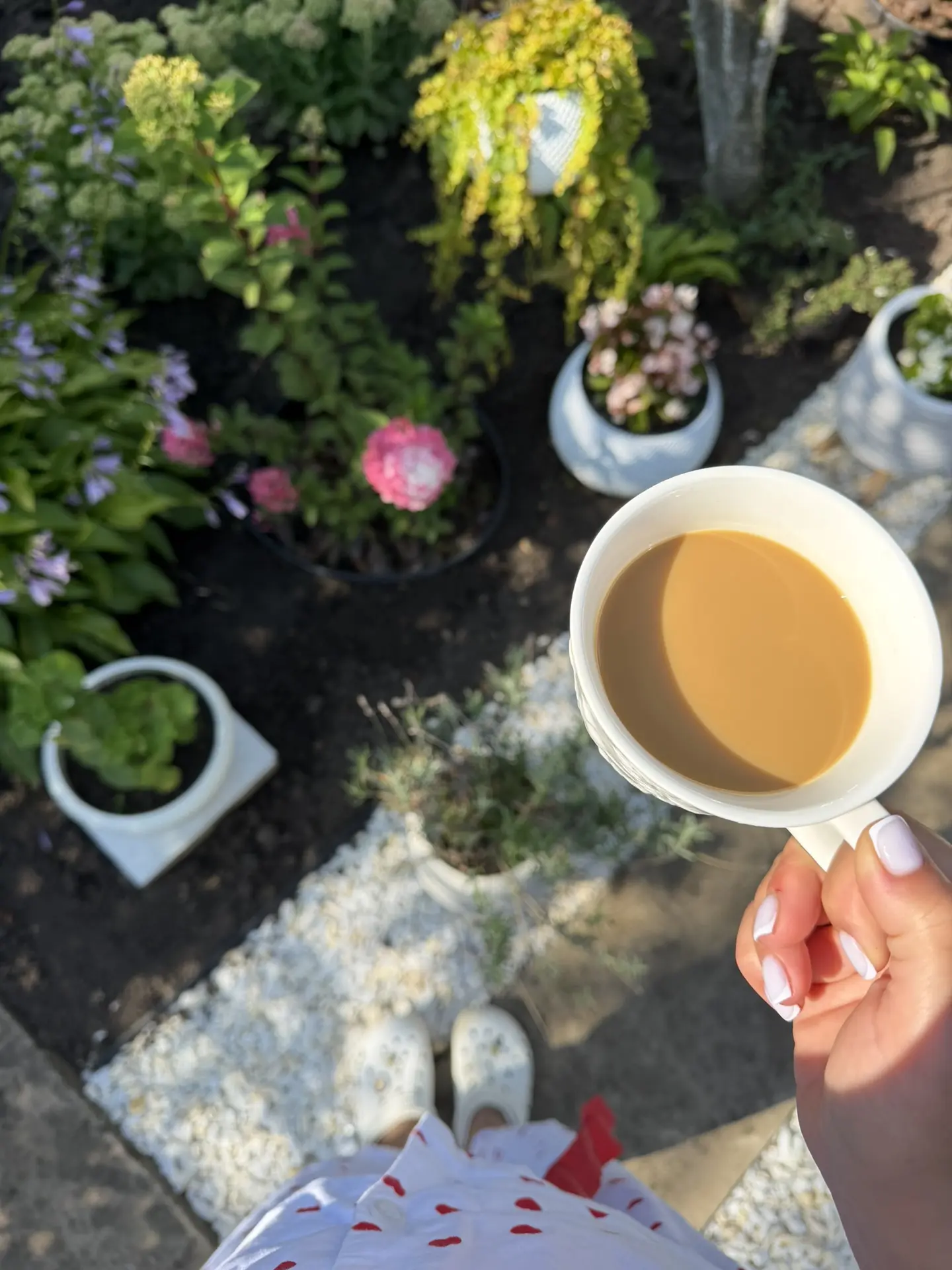 Доброе дачное 🌱