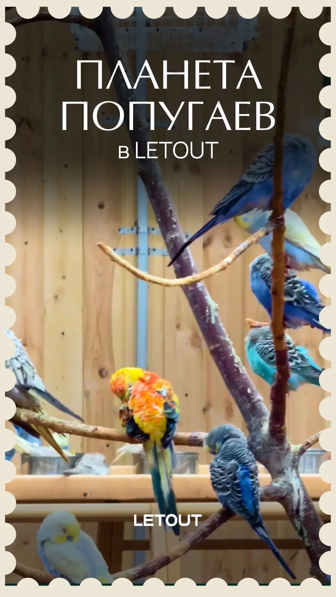 🦜 Некоторые знакомства заканчиваются новым другом!