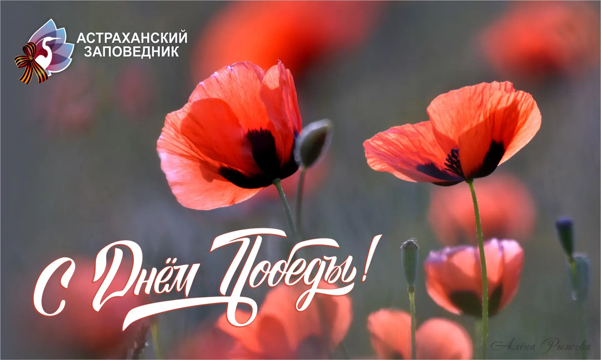 С Днём Великой Победы!