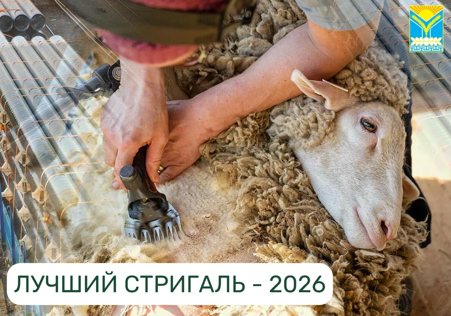 ВПЕРВЫЕ ЗА МНОГО ЛЕТ! 🎉🎉🎉