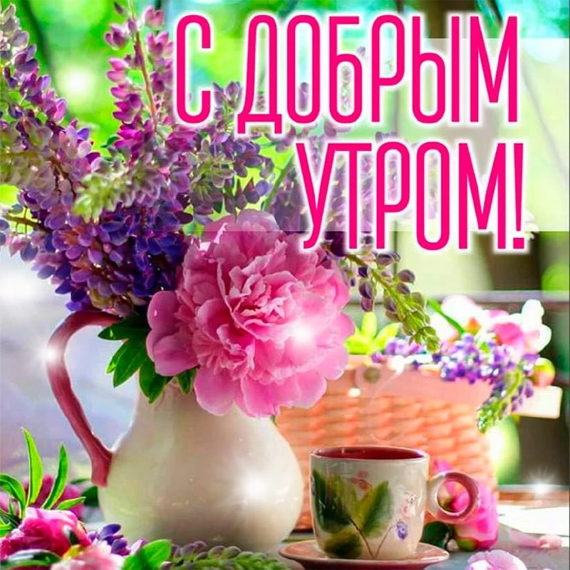 С добрым утром, родные мои! Тепла вам, здоровья и светлого дня.